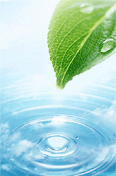 高效過濾器,風淋室,傳遞窗,潔凈棚,空調過濾網(wǎng),高效送風口,空氣過濾器,初效過濾器,中效過濾器,超凈工作臺,潔凈工作臺,凈化工作臺,不銹鋼洗手池,空氣過濾網(wǎng),FFU,層流罩,耐高溫高效過濾器,中效袋式過濾器,空調過濾器,送風天花,空調過濾網(wǎng)